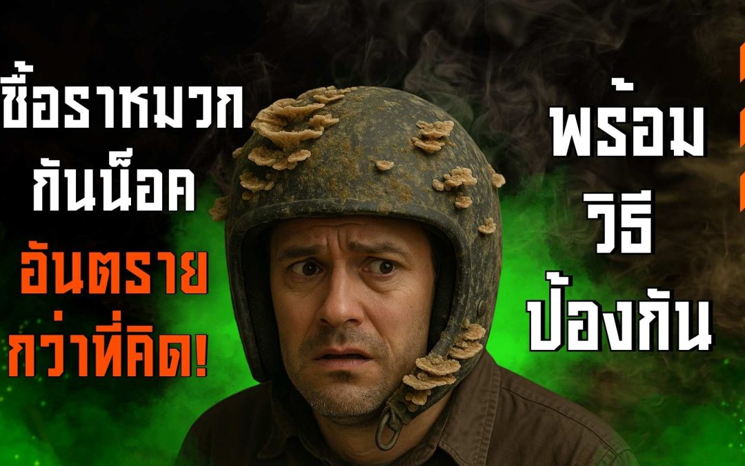เชื้อราหมวกกันน็อค อันตรายกว่าที่คิด! พร้อมวิธีป้องกัน