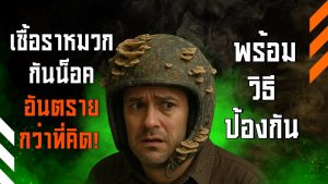 เชื้อราหมวกกันน็อค อันตรายต่อผิวและระบบหายใจ! รู้วิธีป้องกันและทำความสะอาดหมวกให้ปลอดภัย กลิ่นอับหาย หมวกสะอาดเหมือนใหม่